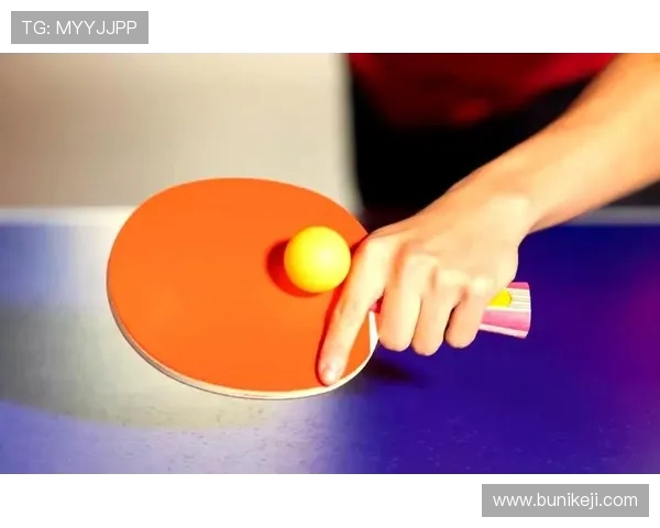 乒乓球运动的魅力与技术探索